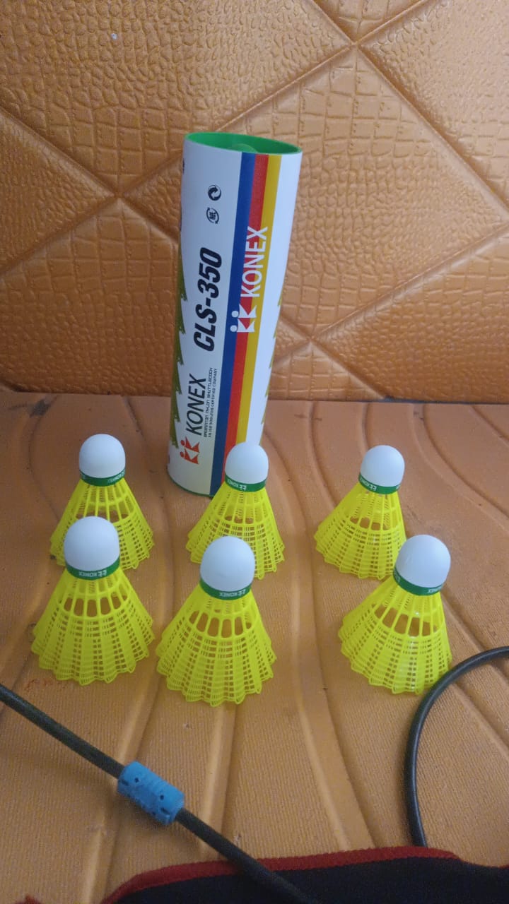 Durable Feather Shuttlecock (6 Pcs Set) Durable Feather Shuttlecock (6 Pcs Set)